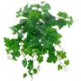 Artificial grapevine hanging plant IGNATIUS, Eco Collection, green, 20"/50cm