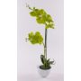 Artificial Phalaenopsis orchid AURELIA in ceramic pot, green, 22"/55cm