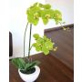Artificial Phalaenopsis orchid AURELIA in ceramic pot, green, 22"/55cm