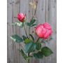 Artificial rose CARUSA, pink, 31"/80cm, Ø3.1"/8cm