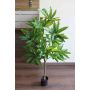 Artificial Schefflera FELINU, artificial trunk, green, 3ft/100cm