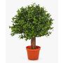 Artificial Boxwood ball topiary TOM, natural stem, 14"/35cm, Ø 10"/25cm