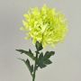Plastic chrysanthemum KESARA, cream-green, 26"/65cm, Ø6"/16cm