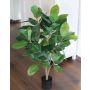 Artificial rubber tree VINCOTTA, artificial trunk, green, 3ft/90cm