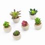 Artificial succulents TAYO in a concrete pot, 6 pieces, multicoloured, 2.4"-3.9" /6-10 cm
