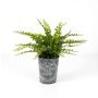 Fake Maidenhair fern JARINA, metal pot, green, 14"/35cm, Ø 16"/40cm