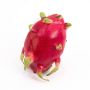 False dragon fruit JOUDIA, pink-green, 5.5"/14cm, Ø3.5"/9cm