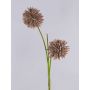 Artificial Allium CHIRARA, brown, 35"/90cm, Ø3.9"/10cm
