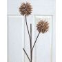 Artificial Allium CHIRARA, brown, 3ft/95cm, Ø3.9"/10cm