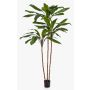Artificial Cordyline KAIA, real stems, green, 7ft/210cm