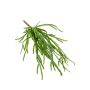 Fake rhipsalis HADRIAN, on spike, green, 14"/35cm