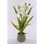 Artificial cymbidium orchid NALA in ceramic pot, cream, 20"/50cm