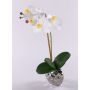 Artificial orchid Phalaenopsis EMILIA, ceramic pot, white, 18"/45cm
