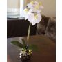 Artificial orchid Phalaenopsis EMILIA, ceramic pot, white, 18"/45cm