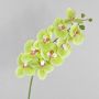 Fake phalaenopsis spray OPHELIA, green-pink, 3ft/100cm, Ø4.7"/12cm
