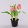 Artificial tulip CAITLYN in decorative pot, light pink-green, 10"/25cm, Ø0.8"-2.4"/2-6cm