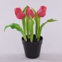 Artificial tulip CAITLYN in decorative pot, pink-green, 10"/25cm, Ø0.8"-2.4"/2-6cm