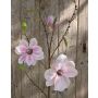 Artificial magnolia spray FINAH, light pink, 3ft/90cm, Ø3.5"-5.9"/9-15cm