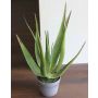 Plastic aloe NAMIKA, in decorative pot, green, 20"/50cm, Ø10"/25cm