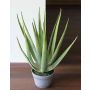 Plastic aloe NAMIKA, in decorative pot, green, 24"/60cm, Ø12"/30cm