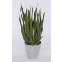 Plastic aloe NAMIKA, in a cement pot, green, 16"/40cm, Ø8"/20cm