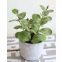 Artificial Mint ALBUS in concrete pot, green, 6.7"/17cm