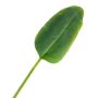Fake Banana leaf YUMI, 3ft/95cm