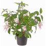 Artificial Fuchsia THAYNARA, with blooms, light pink, pale pink, 12"/30cm, Ø2"/5cm