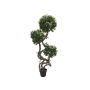 Plastic Ficus tree MIYU, natural stems, green, 5ft/160cm