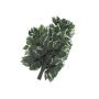 Plastic Ficus foliage spray SAKURA, green-white, 24"/60cm