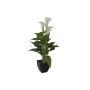 Plastic calla JAMILA in a decorative pot, white, 16"/40cm, Ø1.6"x2.4"/4x6cm