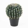 False cactus ELVIO, decorative pot, green-yellow, 14"/35cm, Ø10"/25cm