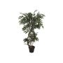 Plastic Ficus tree MIYU, natural stems, green, 4ft/130cm