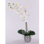 Artificial orchid Phalaenopsis EMILIA, decorative pot, white, 18"/45cm