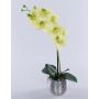 Artificial orchid Phalaenopsis EMILIA, decorative pot, cream-green, 18"/45cm