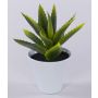 Artificial aloe vera ROSALINA in ceramic pot, green, 8"/21cm