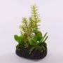 Artificial succulent arrangement BAMBI in soil ball, green, 8"/19cm