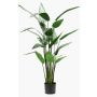 Fake Heliconia ANURIA, green, 4ft/125cm