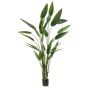 Fake Heliconia ANURIA, green, 7ft/220cm