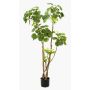 Fake Polyscias FILARO, artificial stems, green, 4ft/135cm