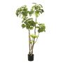 Fake Polyscias FILARO, artificial stems, green, 4ft/135cm