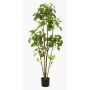 Fake Polyscias FILARO, artificial stems, green, 5ft/160cm