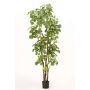 Fake Polyscias FILARO, artificial stems, green, 6ft/195cm