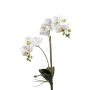 Silk phalaenopsis CANDIDA on spike, white, 26"/65cm, Ø2.8"-3.1"/7-8cm