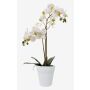 Silk phalaenopsis CANDIDA in a ceramic pot, white, 26"/65cm, Ø2.8"-3.1"/7-8cm