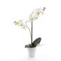 Silk phalaenopsis CANDIDA in a ceramic pot, white, 26"/65cm, Ø2.8"-3.1"/7-8cm