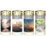 Grave candle SAVINA, motif, lid, 4 pieces, white, 6.7"/17cm, Ø3"/7.7cm, 96h