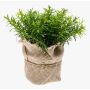 Fake thyme VITUS, in a jute bag, green, 7"/18cm, Ø8"/20cm