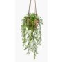Artificial asparagus SILIJA, terracotta pot, 31"/75cm