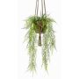 Artificial asparagus SILIJA, terracotta pot, 31"/80cm
